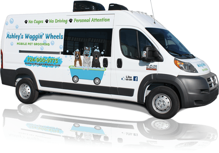 mobilegroomingunit Ashley's Waggin' Wheels Mobile Pet Grooming